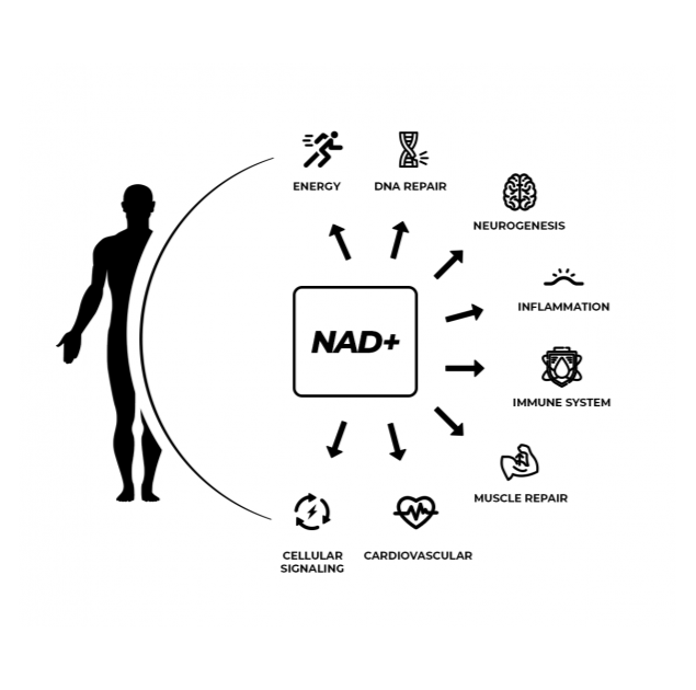 nad-effects-eng