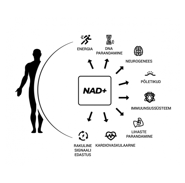 nad-effects-est